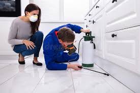 Best Fumigation Services  in New Miami, OH